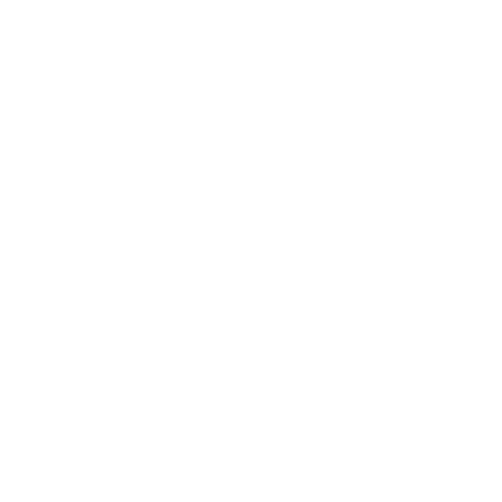 Swagat Palace